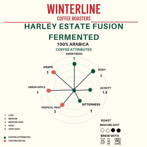 HARLEY ESTATE -ARABICA FUSION FERMENTED