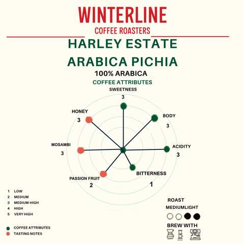 HARLEY ESTATE- ARABICA PICHIA