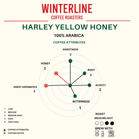 HARLEY YELLOW HONEY
