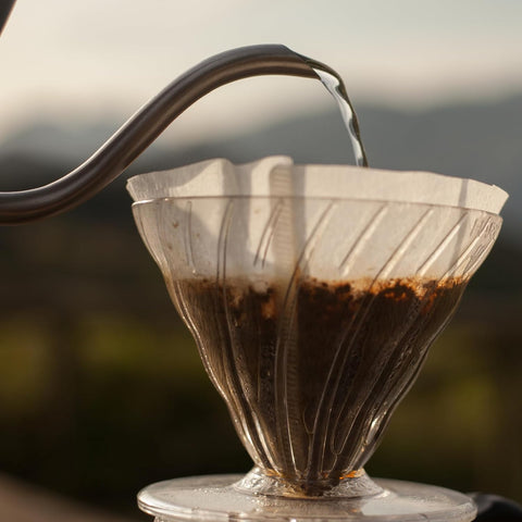 Hario V60 natural filters